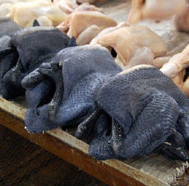 đá gà cựa sắt mới nhất năm 2018